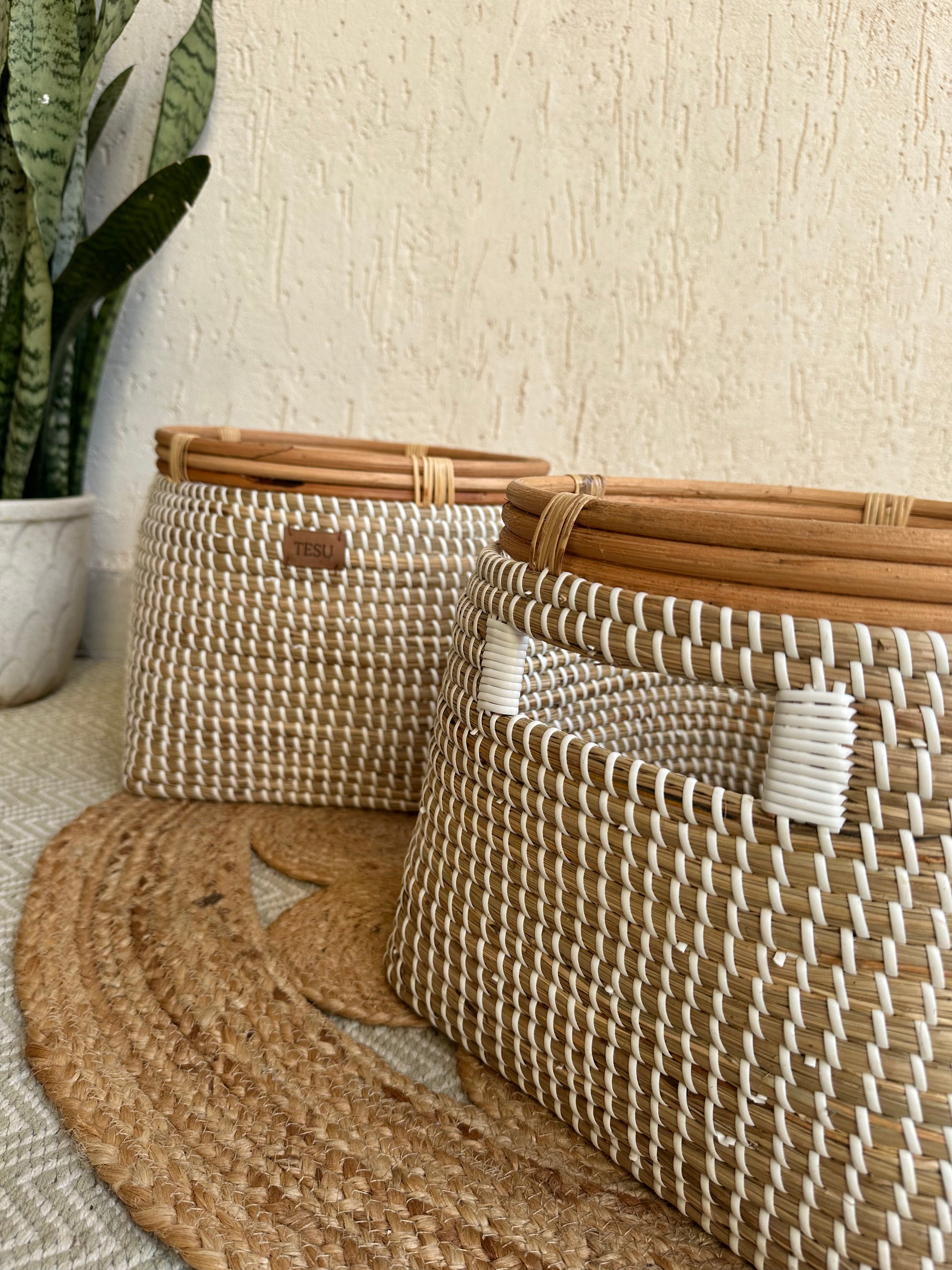 Seagrass Planter - TESU