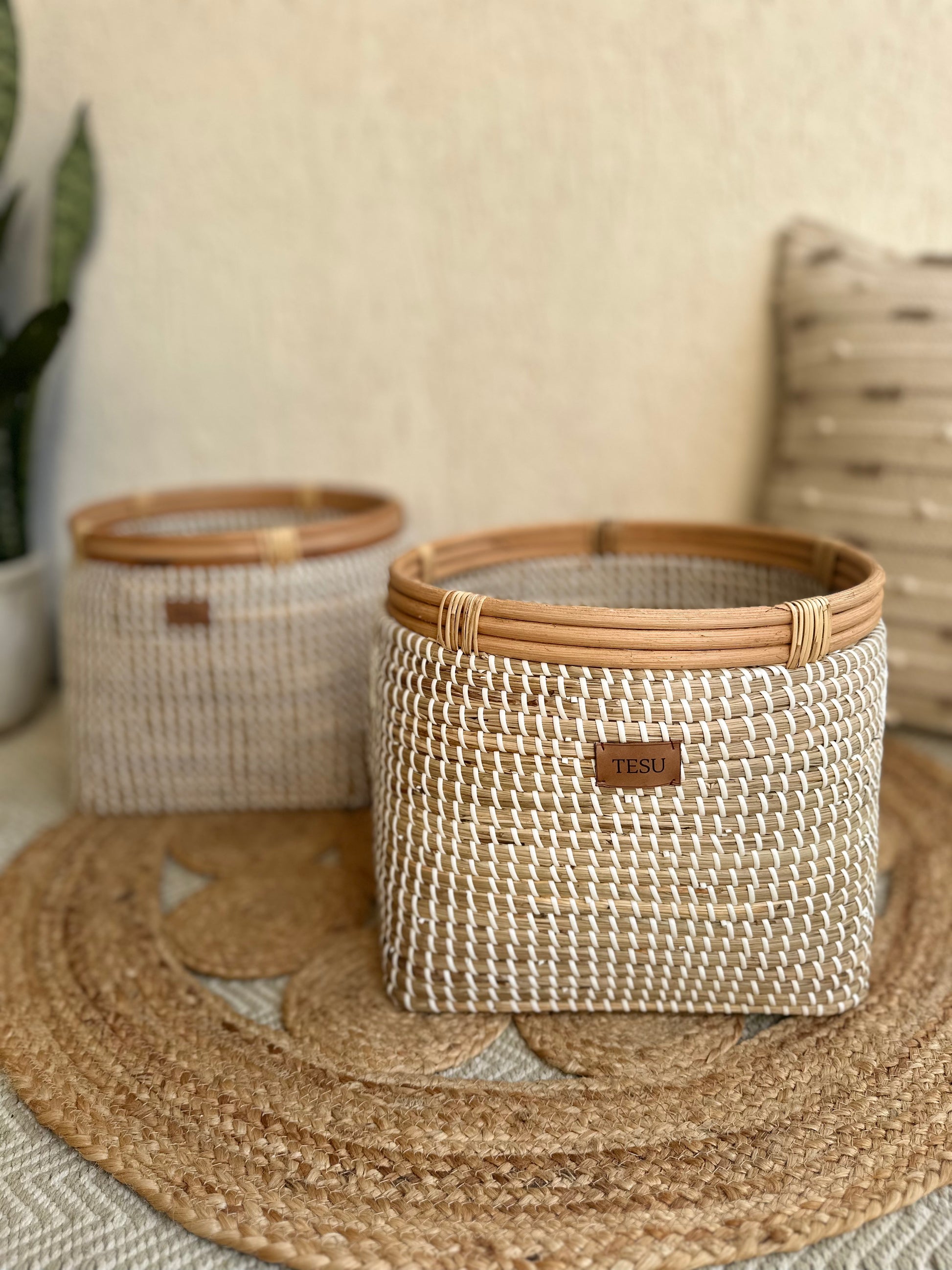 Seagrass Planter - TESU