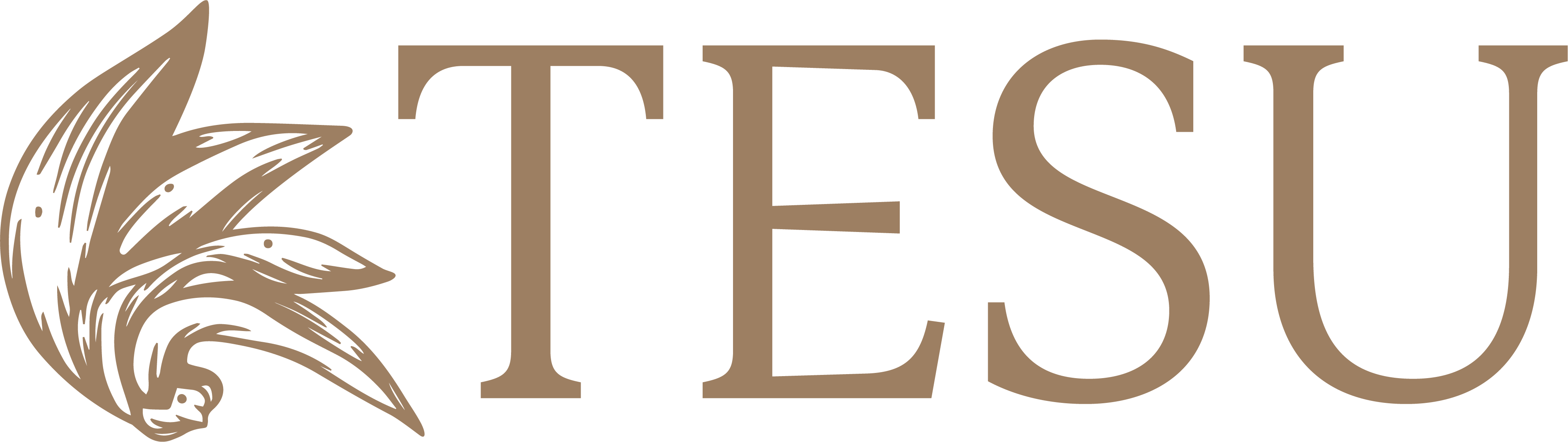 Tesu logo,  for home decor