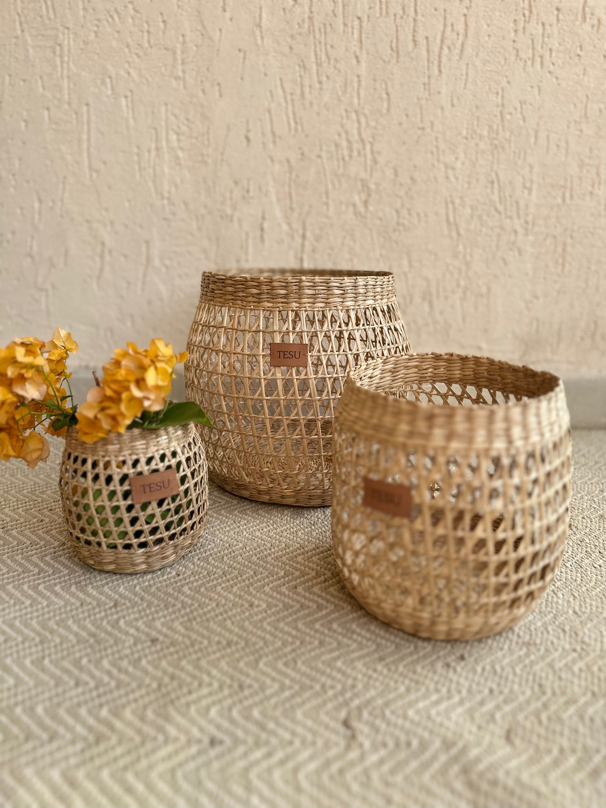 Seagrass Plant Holder Set - Set of 3 - TESU