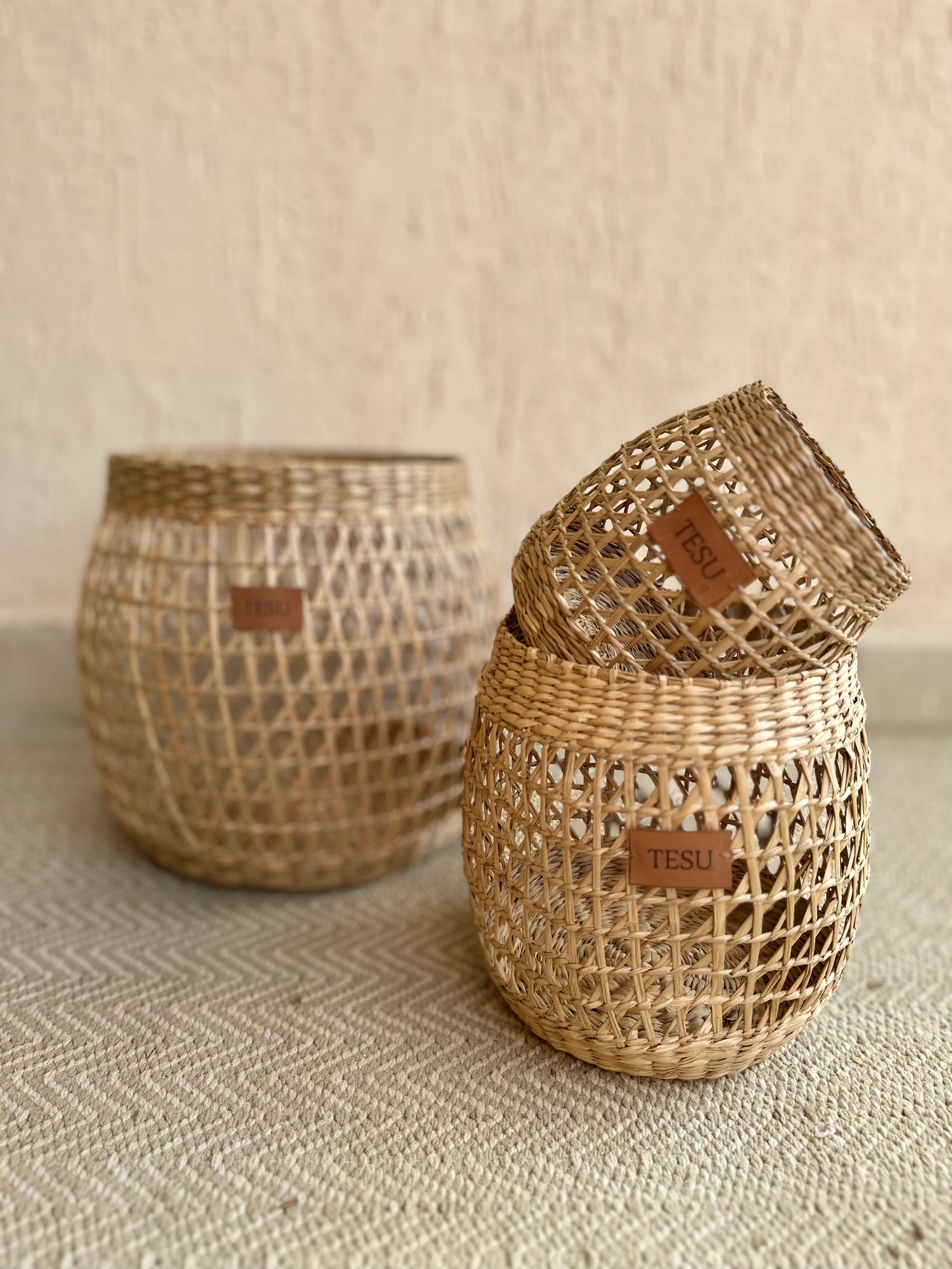 Seagrass Plant Holder Set - Set of 3 - TESU