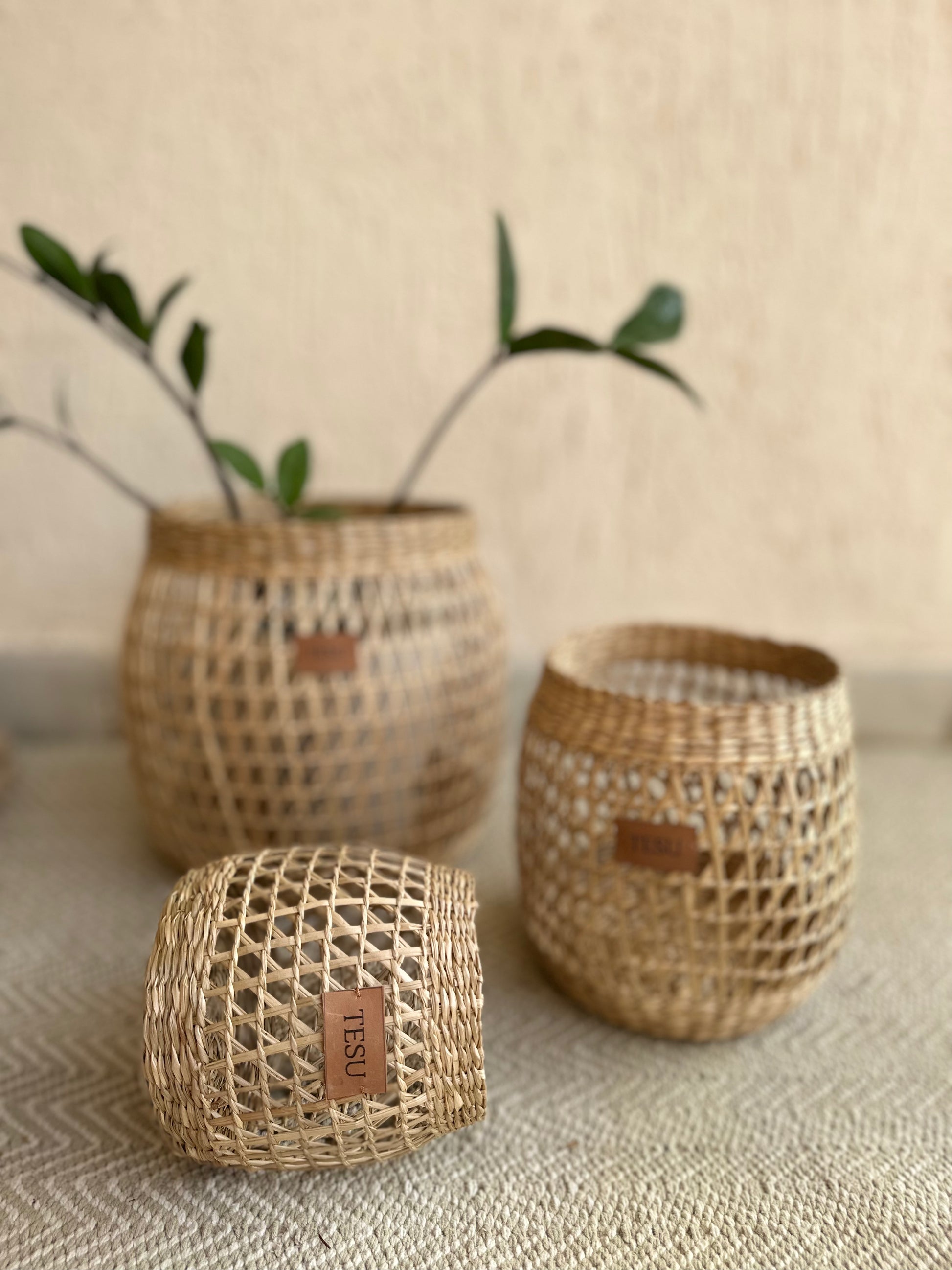 Seagrass Plant Holder Set - Set of 3 - TESU