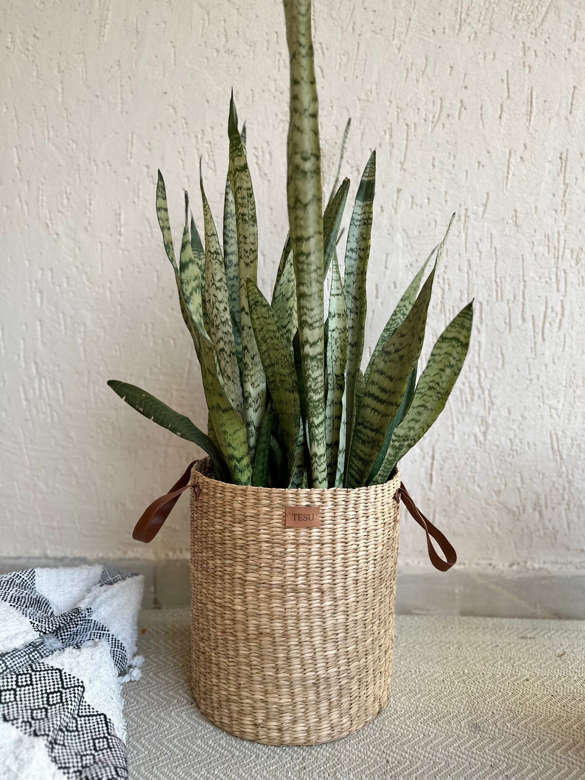 Seagrass Dense Storage Basket With Handle - TESU