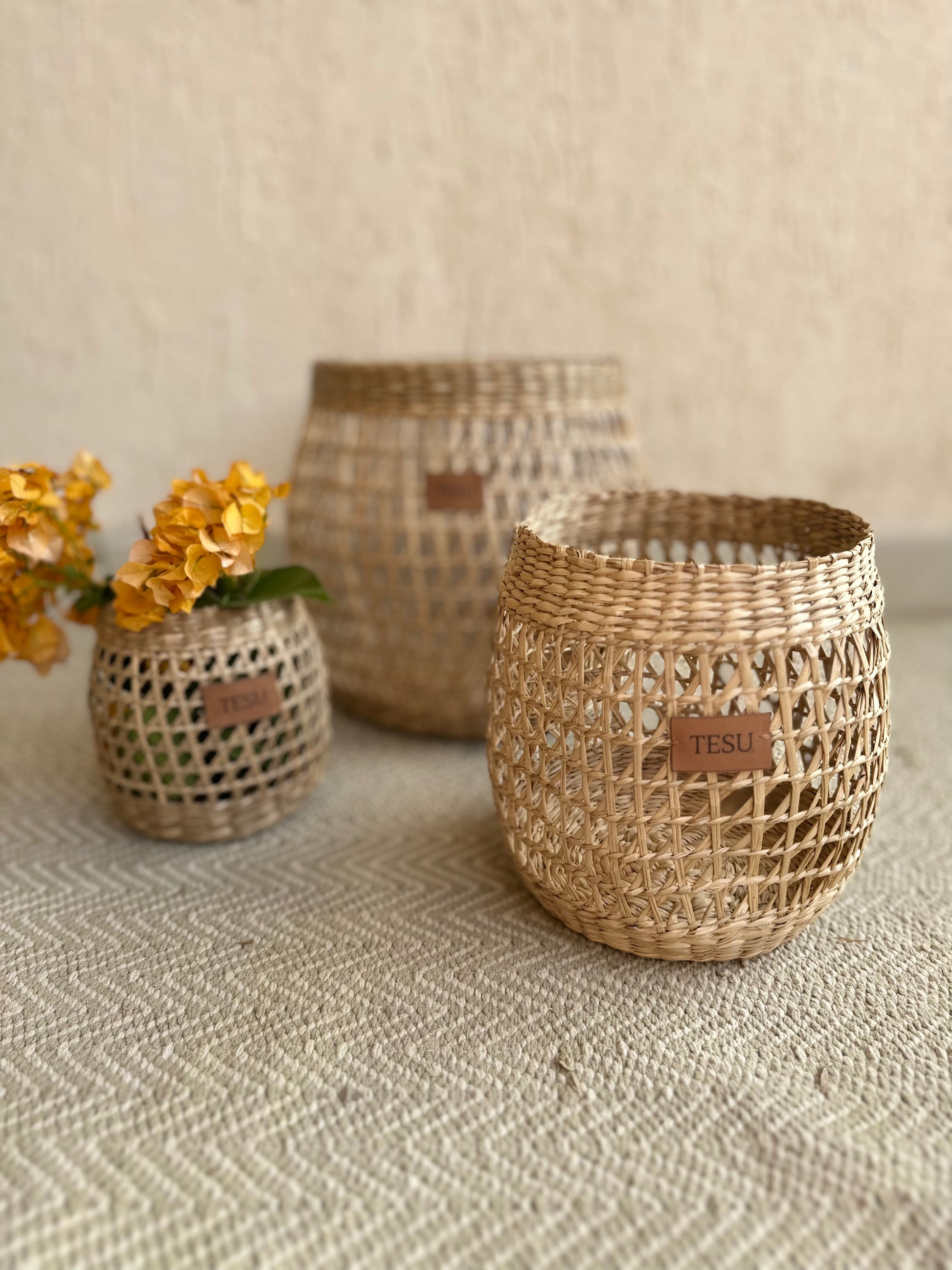 Seagrass Plant Holder Set - Set of 3 - TESU