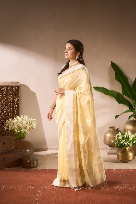 Woman in a light yellow saree standing in a decorated room with plants and decorative items.