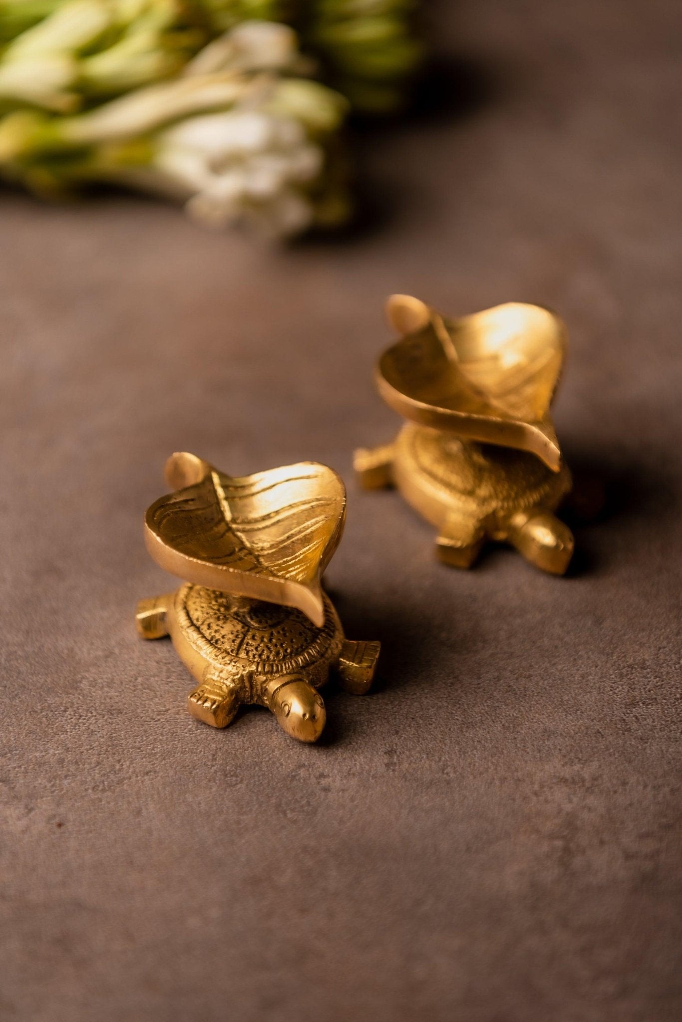 Brass Leaf and Tortoise Dia - Set of 2 - TesuBrass Diya