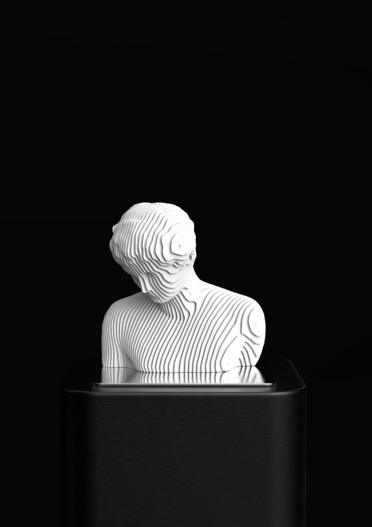 David Parametric Metal Sculpture in matt black stainless steel - luxury modern art piece by Tesu, 13.5 inches height