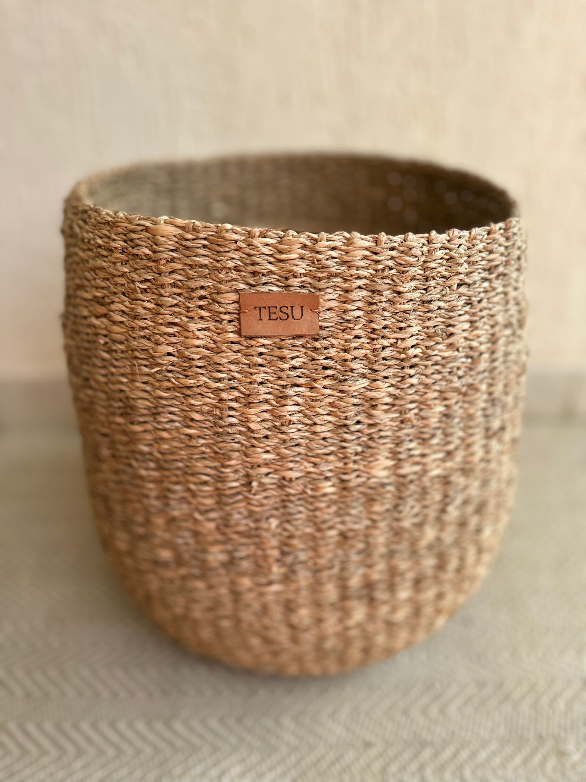 Seagrass Plant Holder - TESU