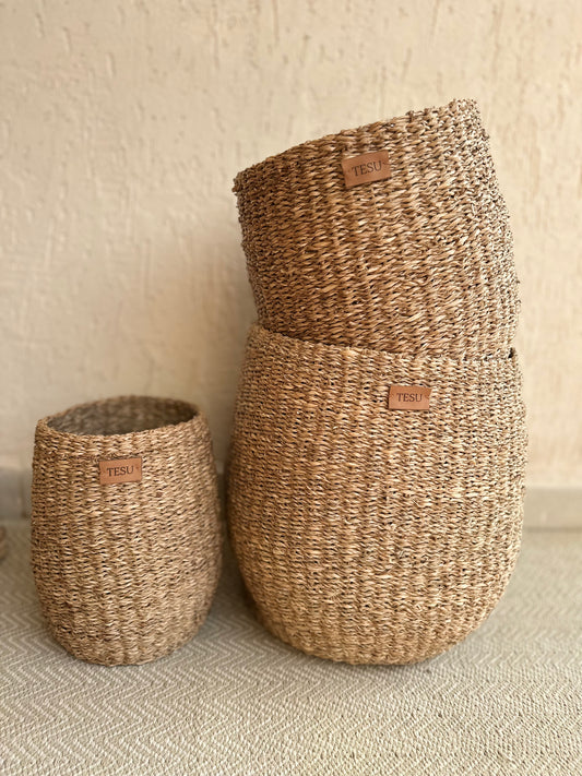 Seagrass Plant Holder - TESU