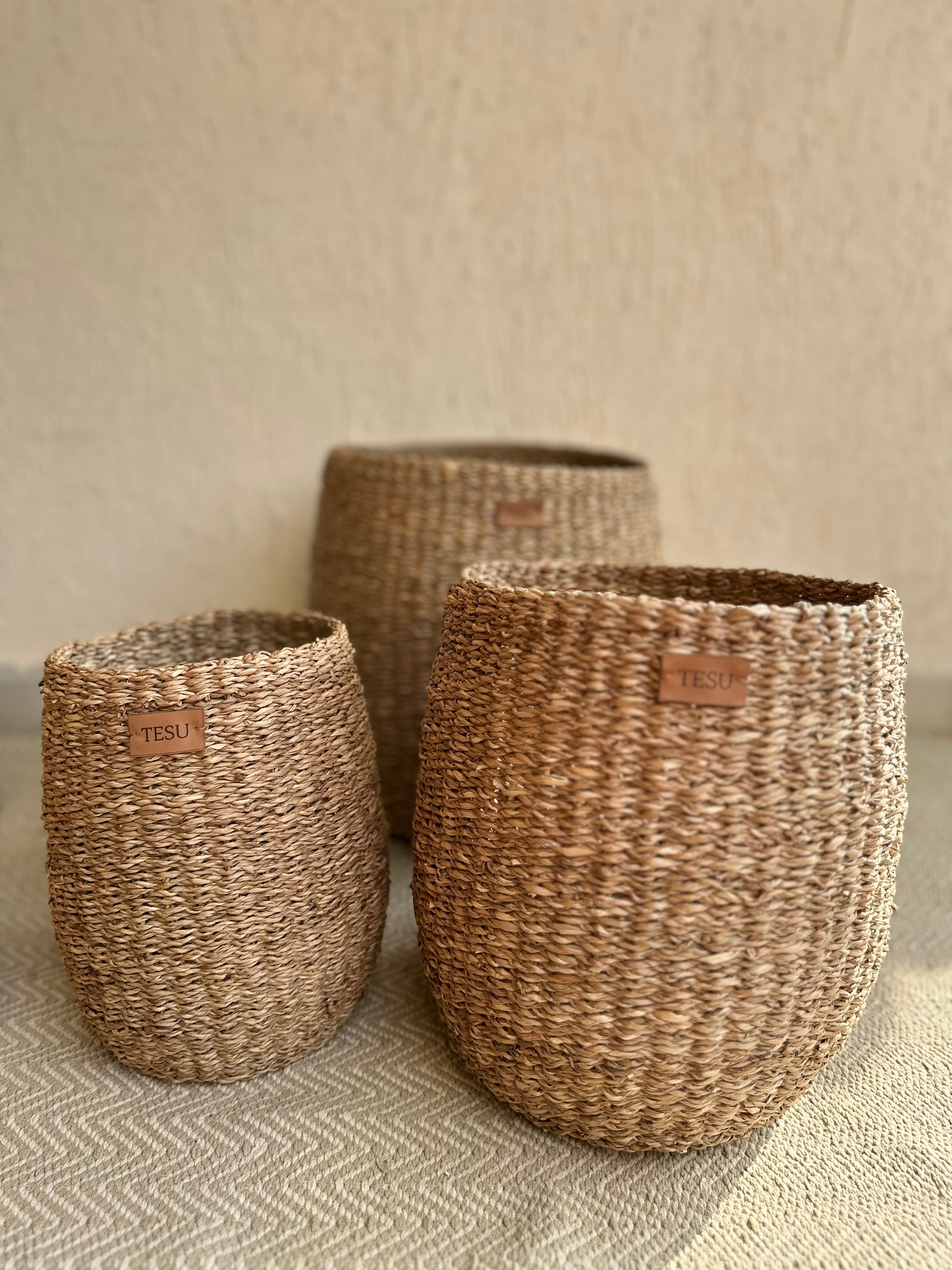 Seagrass Plant Holder - TESU