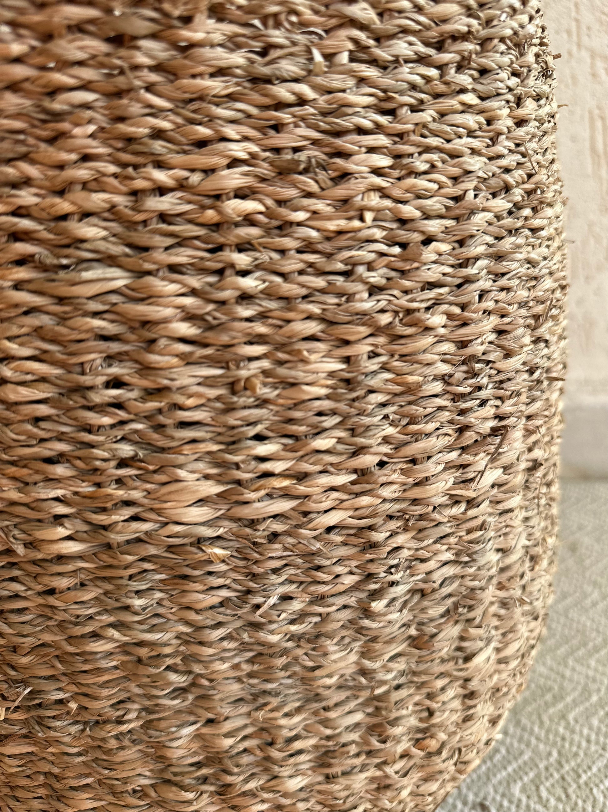 Seagrass Plant Holder - TESU