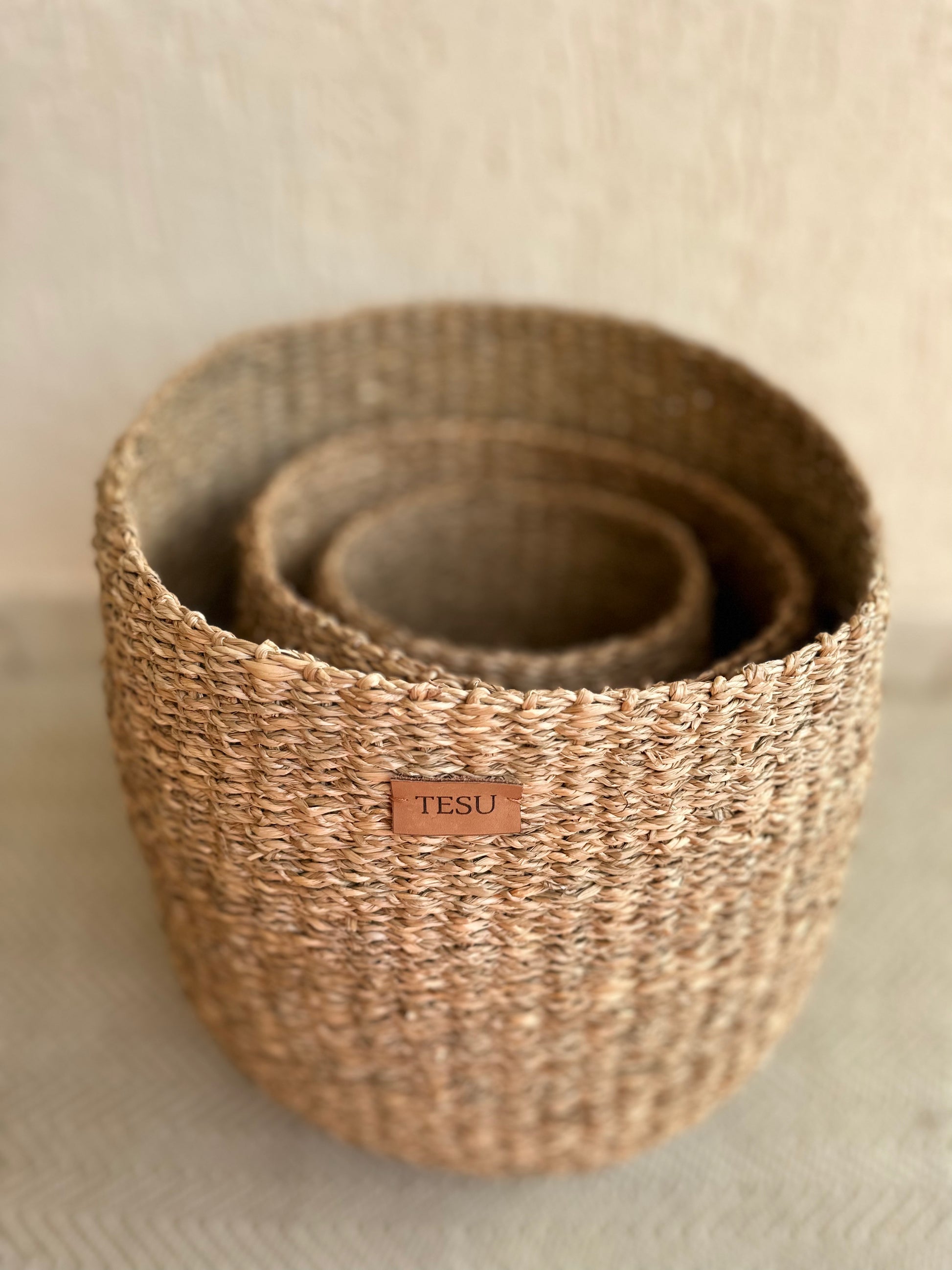 Seagrass Plant Holder - TESU