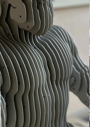 Metal Mirage - TesuSculpture