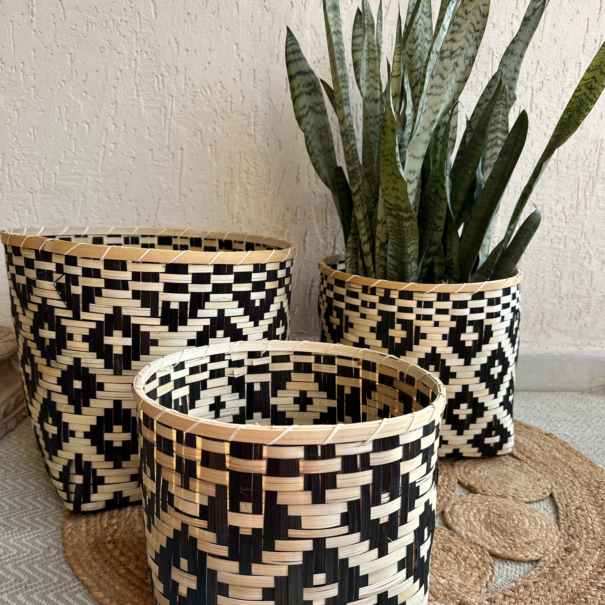 Bamboo Plant Holder with Designer Geometric weave boho villa airbnb. Enhance your Dream Home with our curated selection of premium Home Décor items.  Super versatile and super-chic, these natural, handmade bamboo baskets will handle are great for storage of fruits and planters for your houseplants and bring a classic and organic feel to your space. tesu 