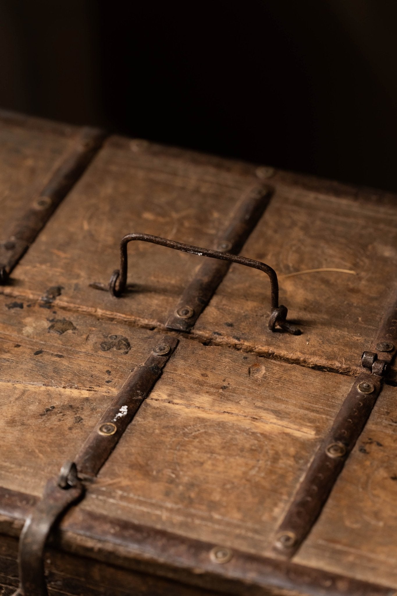 Timber lock Trunk - TesuCabinets & Storage