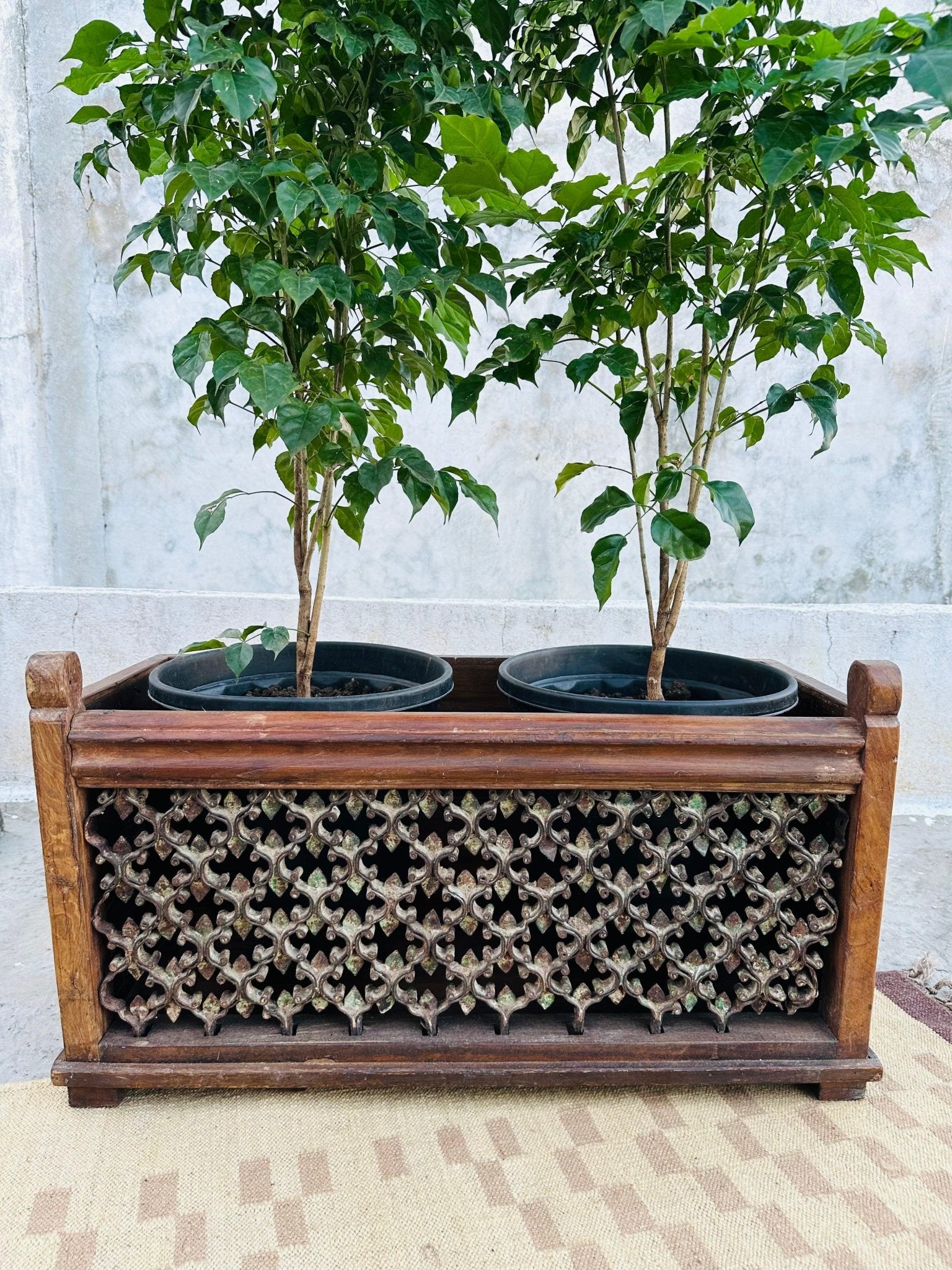 Wooden Iron Carved Jali Planter - TesuPlanter