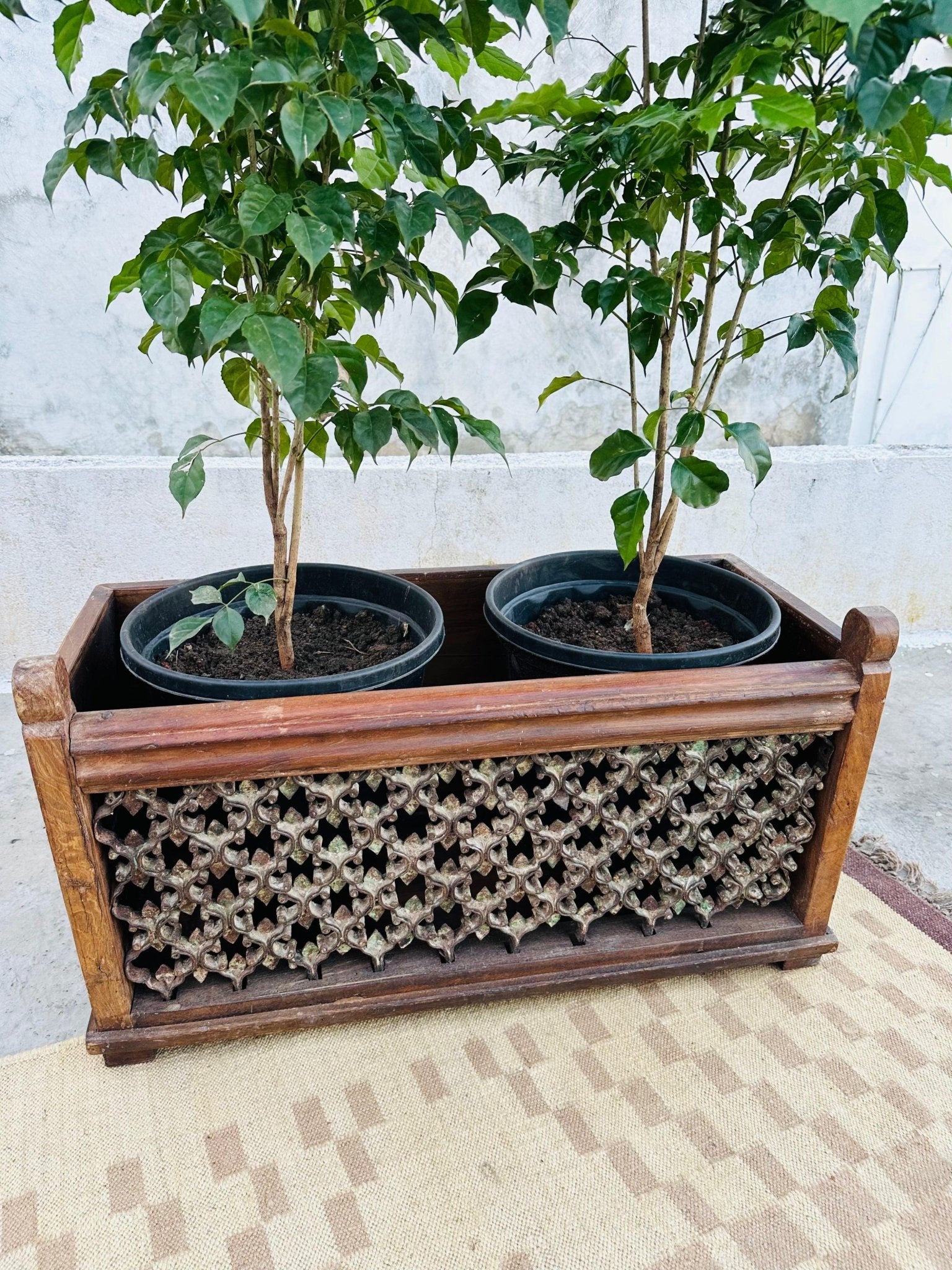 Wooden Iron Carved Jali Planter - TesuPlanter