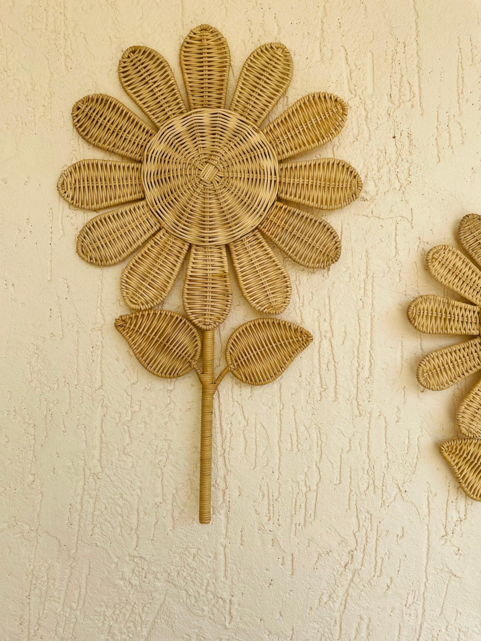 Daisy Flower Cane Wall Decor - TesuWall Decor
