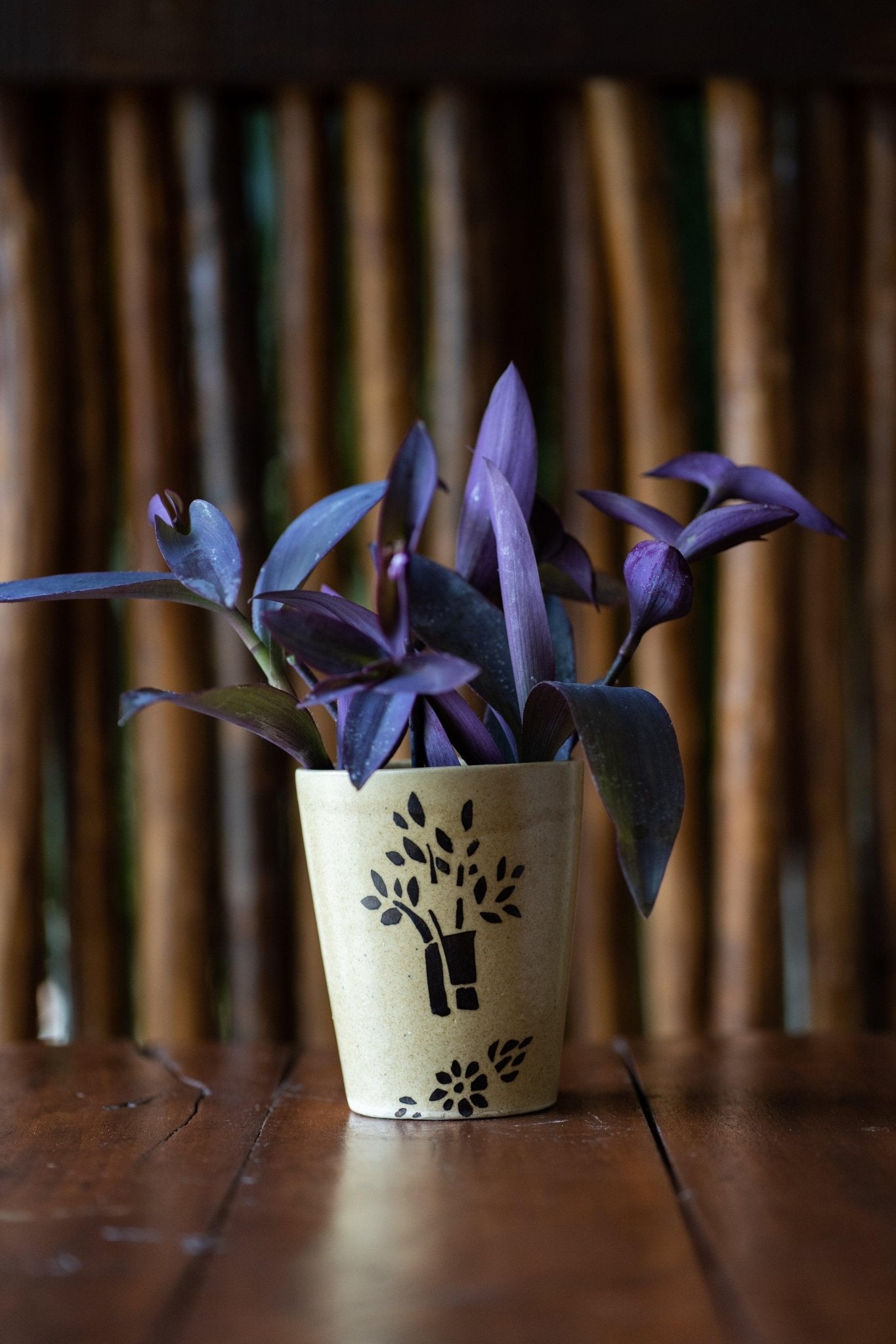 Hand Painted Ceramic Planters - TesuPlanter