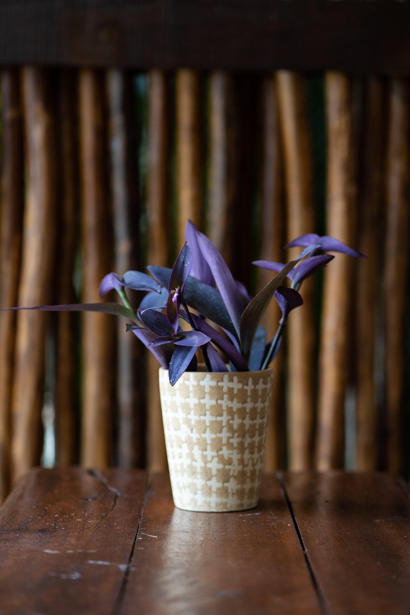 Hand Painted Ceramic Planters - TesuPlanter