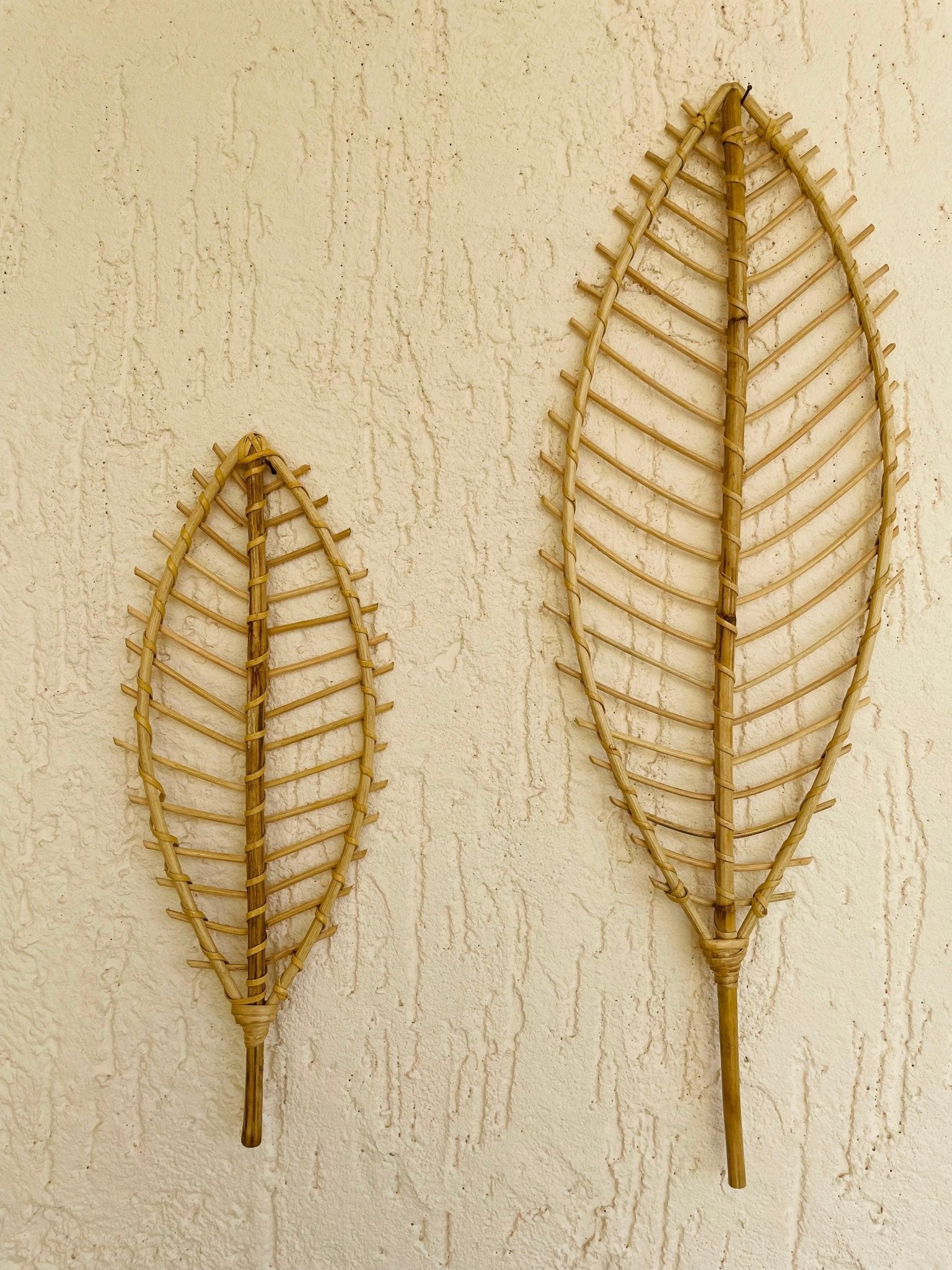 Leaf Cane Wall Decor - Set of 3 - TesuWall Decor