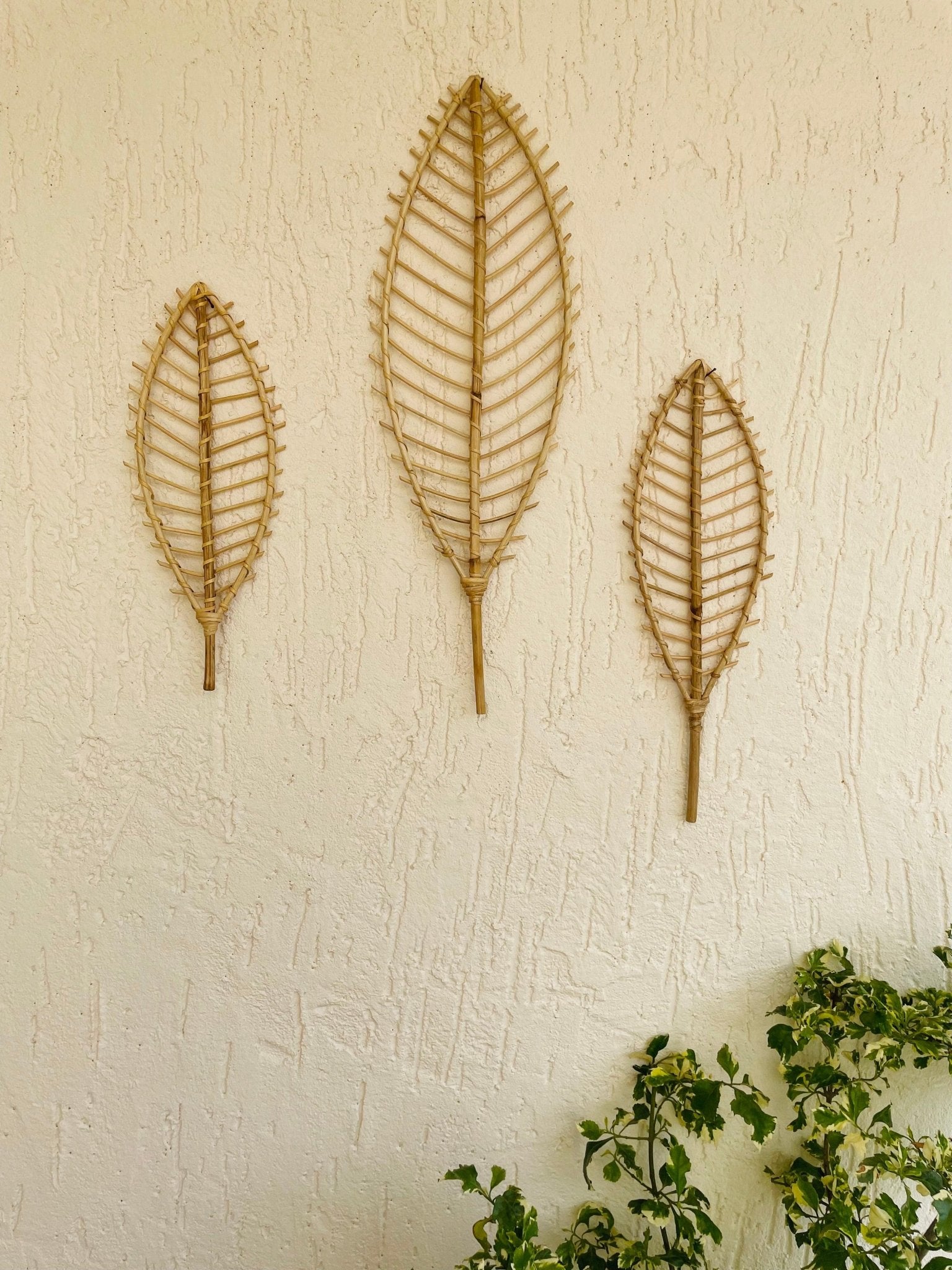 Leaf Cane Wall Decor - Set of 3 - TesuWall Decor
