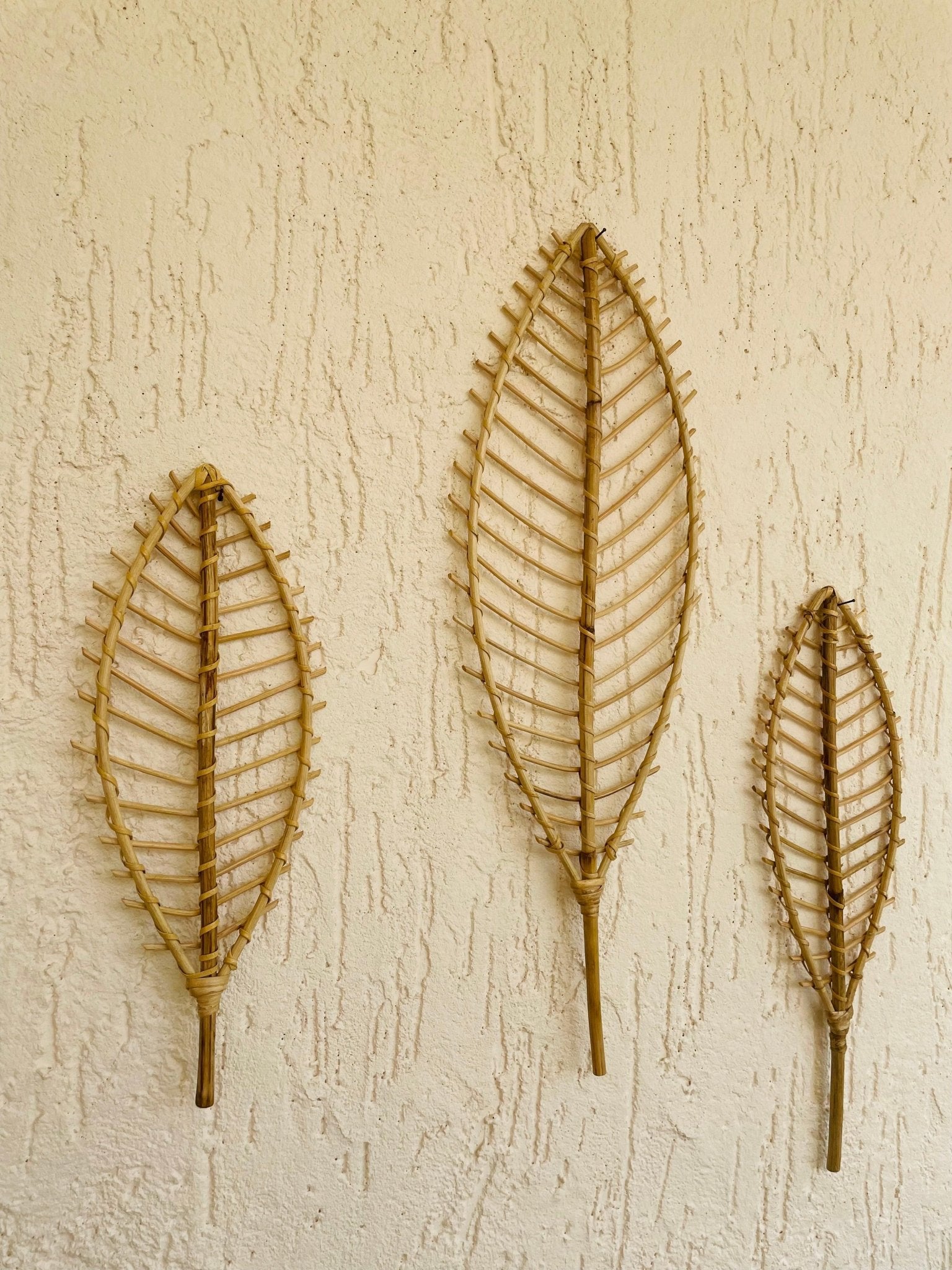 Leaf Cane Wall Decor - Set of 3 - TesuWall Decor