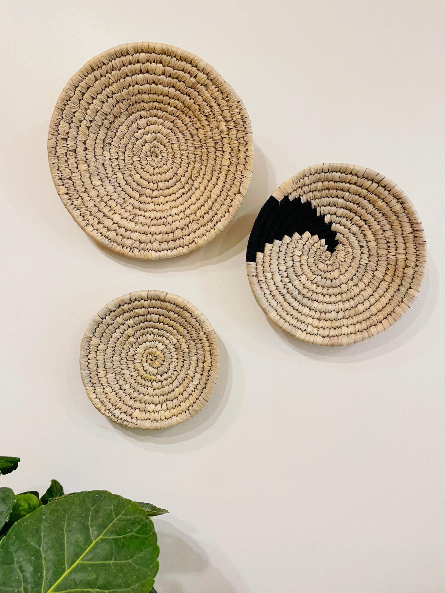 Palm Leaf Woven Plate - Natural and Black - TesuWall Decor