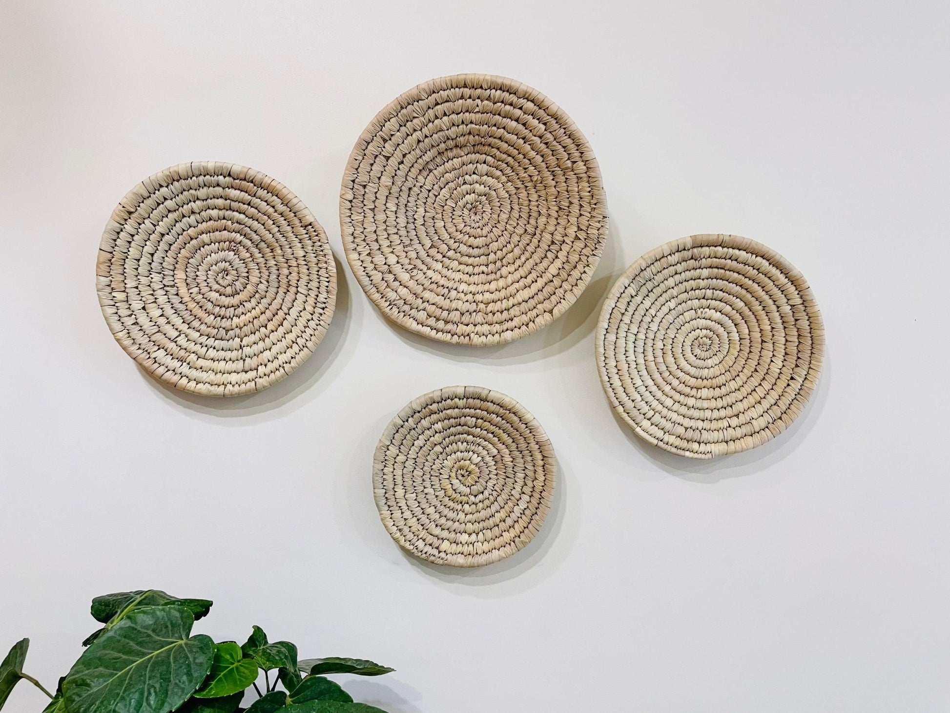 Palm Leaf Woven Plates - Natural Set of 3 - TesuWall Decor