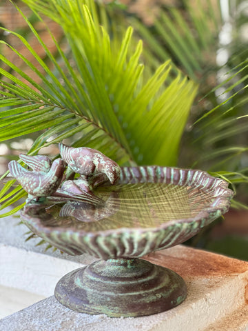 Aangan Chiraiya Feeder