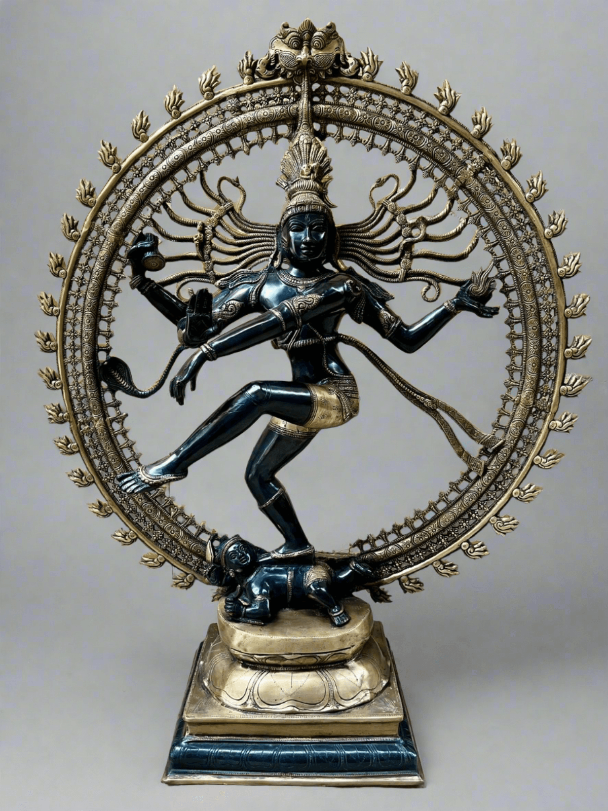 Lord of Dance Nataraja - TESU