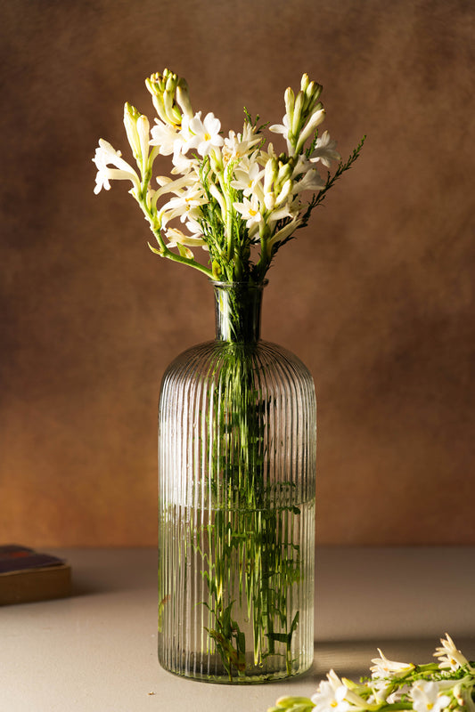 Clear glass vase with white flowers on a neutral background