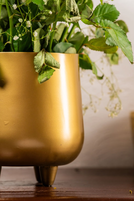 Golden Table Planter - TESU