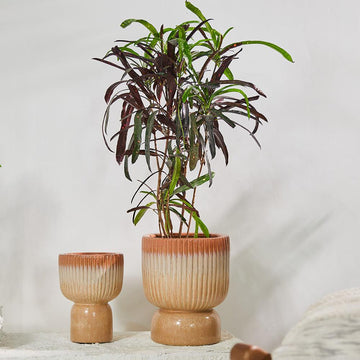 Leaf Tail Ceramic Pot