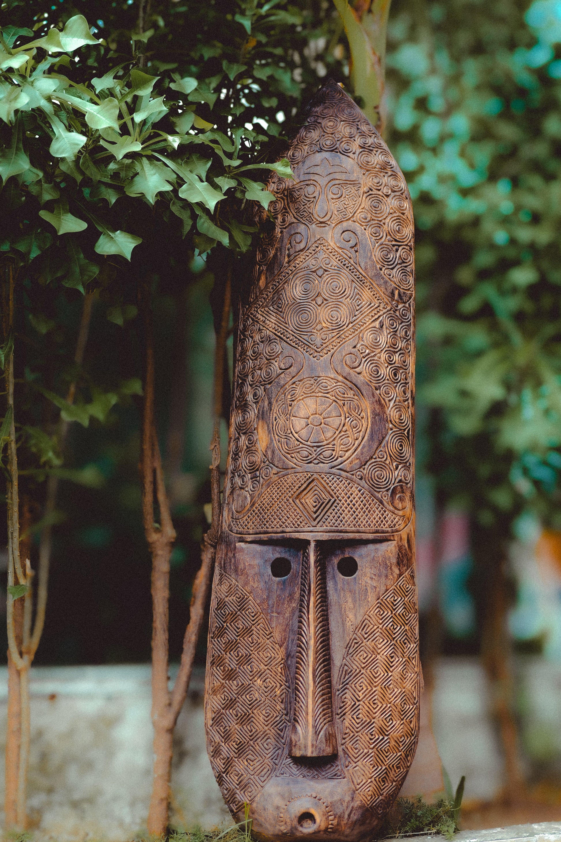 Woodland Oracle - TESU
