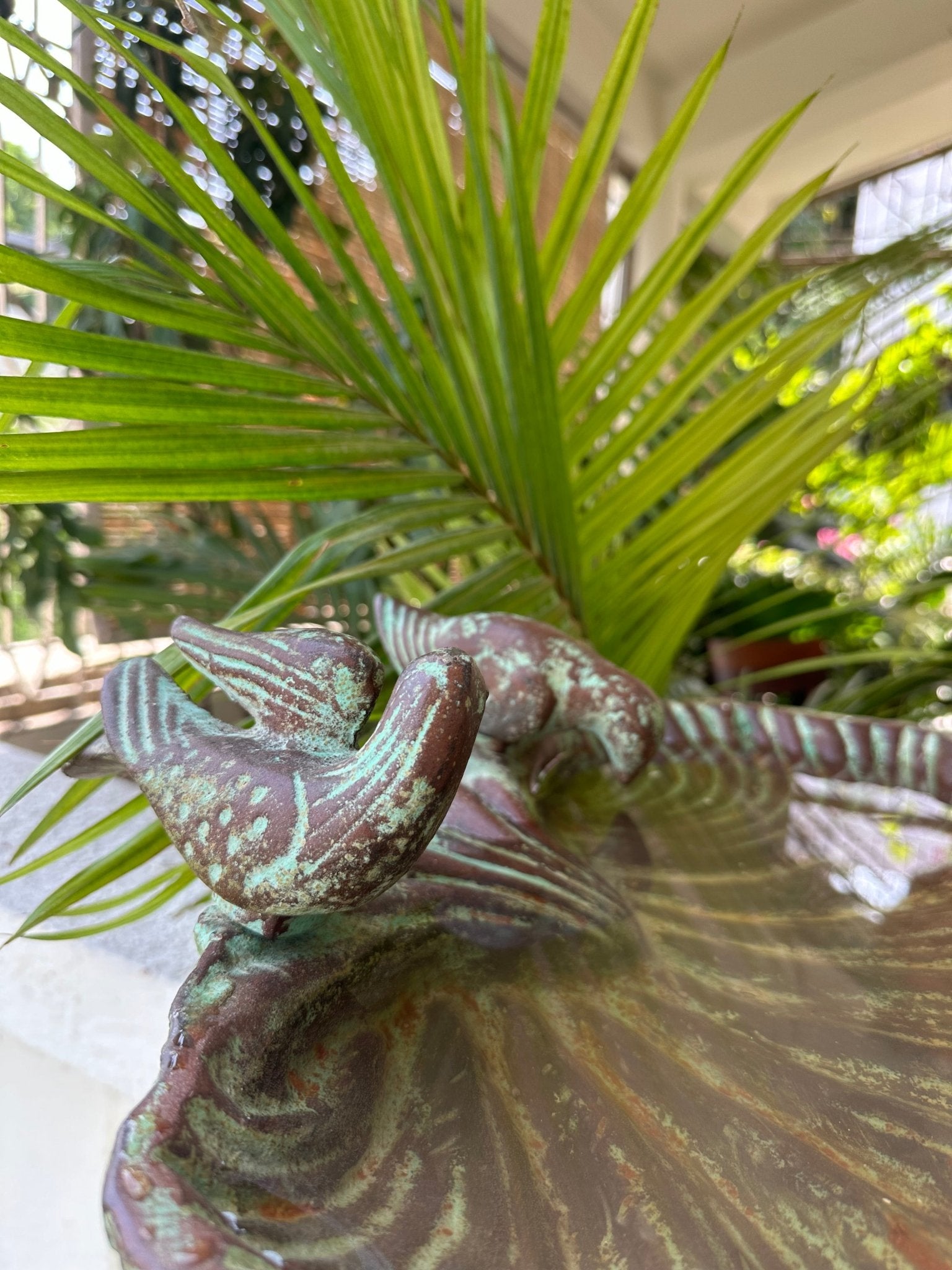 Aangan Chiraiya Feeder - TesuGarden Accessories