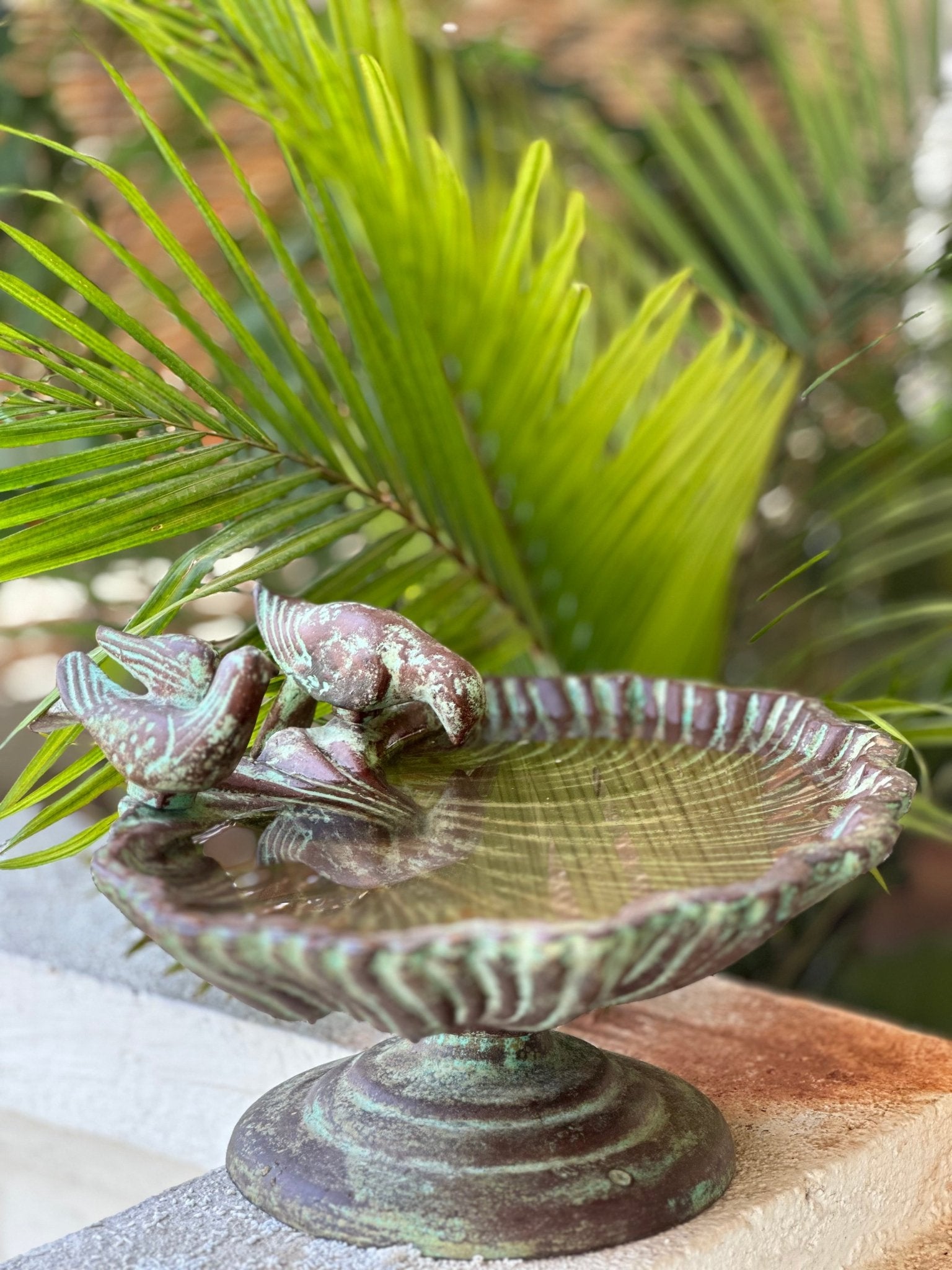Aangan Chiraiya Feeder - TesuGarden Accessories