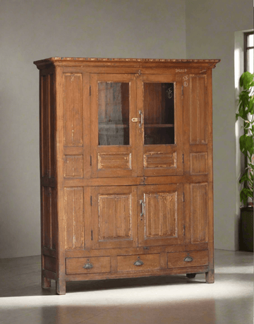 Wooden cabinet with glass doors in a room with a plant