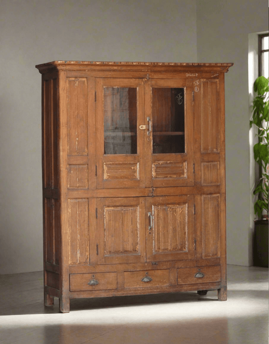 Wooden cabinet with glass doors in a room with a plant