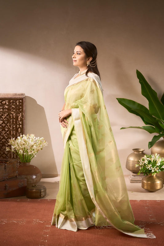 Woman in a light green saree standing indoors with decorative elements in the background