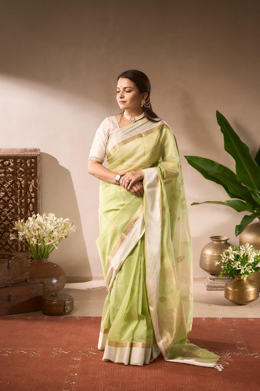 Woman in a light green saree standing indoors with decorative elements.