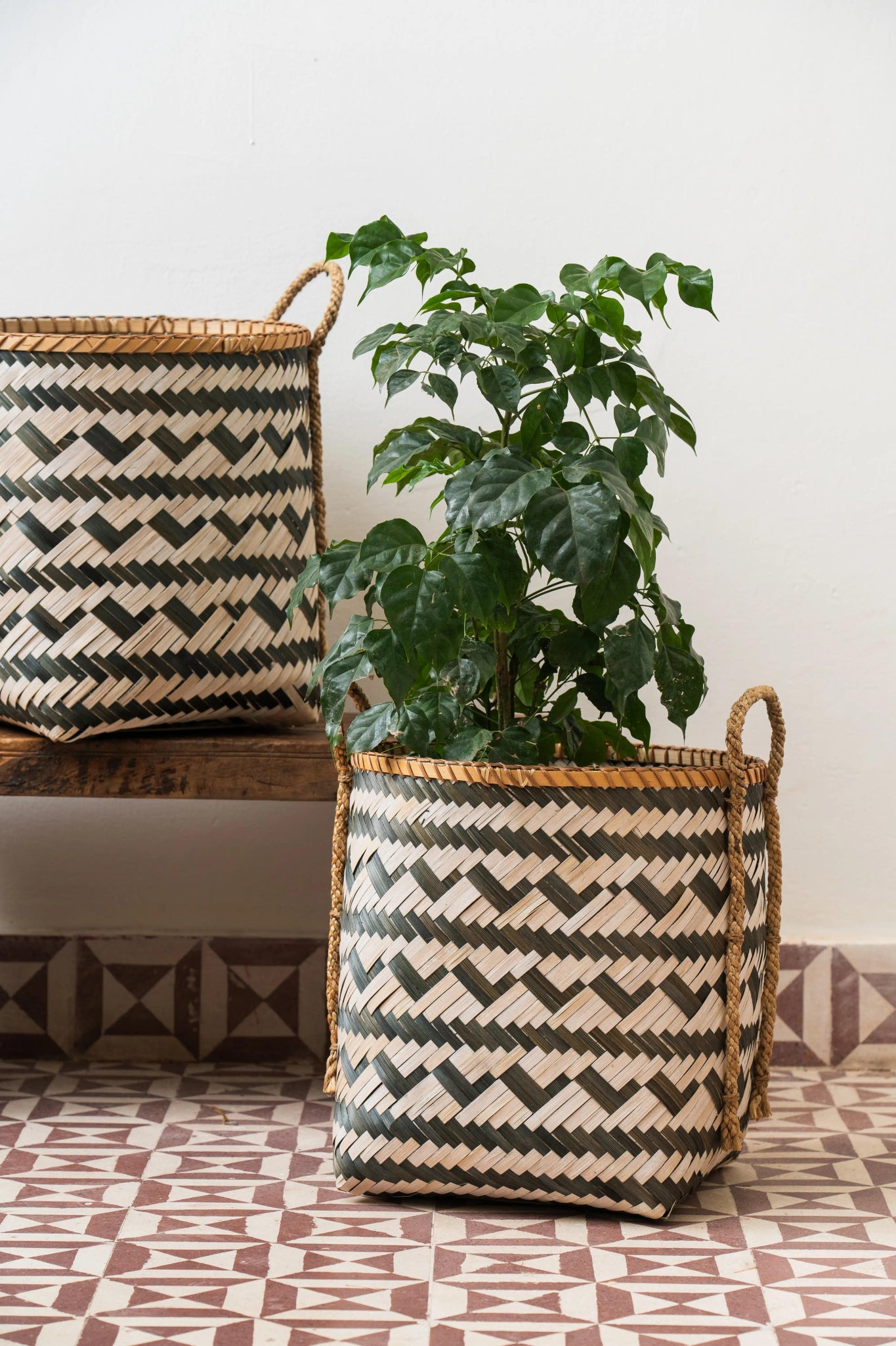 Handcrafted bamboo basket with handle in living room home organization – Tesu Baskets & Storage