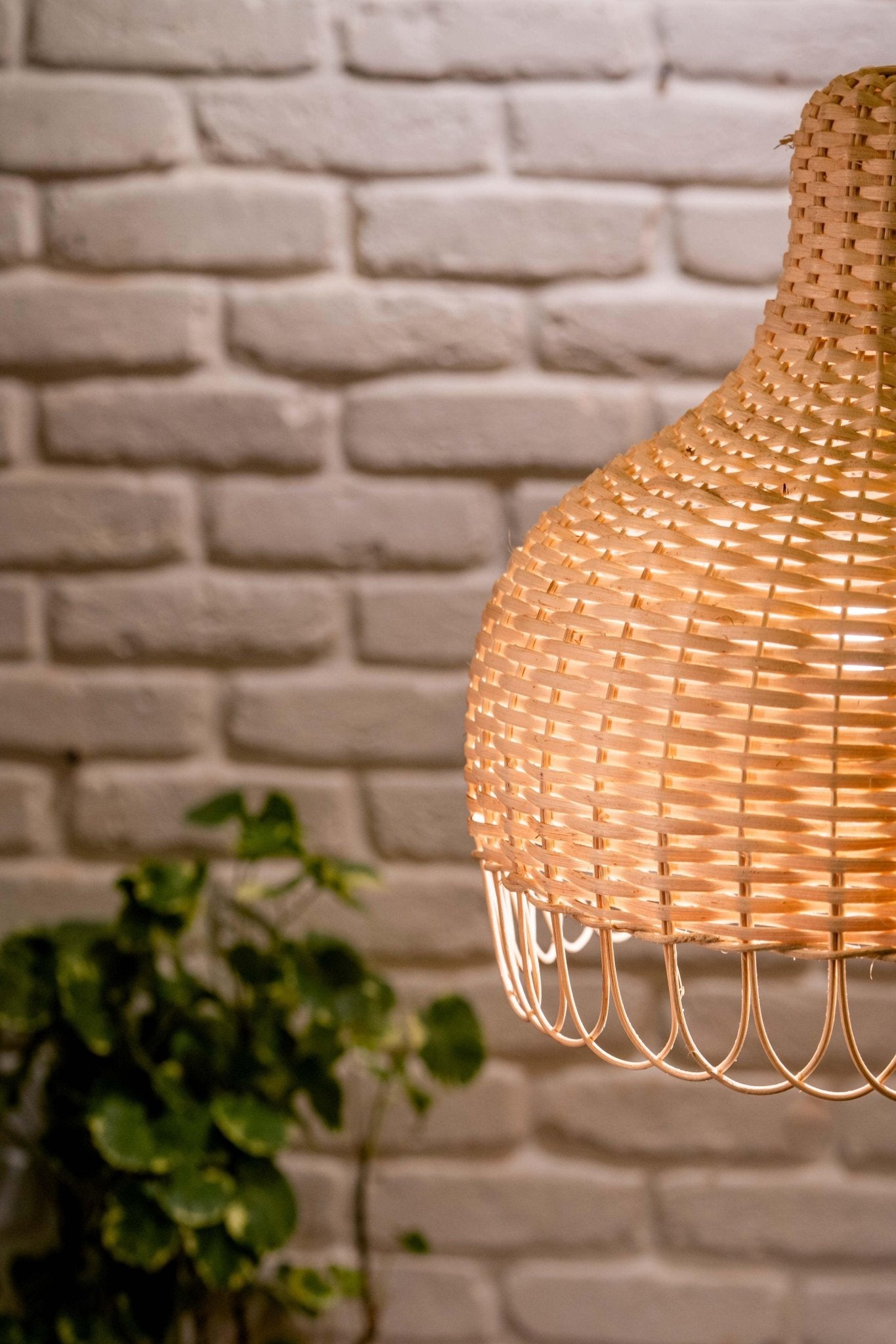 Dome Shaped Cane Lampshade - TesuLampshade