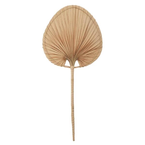 tesu premium decor boho house collection wall and table setupDry plam leaf wall decor boho style house.Enhance your Dream Home with our curated selection of premium Home and all Décor items. You can easily hang our Palm Leaf fan on the wall as an eye-catching boho chic wall decor or wall pediment for your kitchen, living room, bedroom, dining room or hallway. The beautiful Palm Leaf fan makes it an ideal housewarming gift. tesu