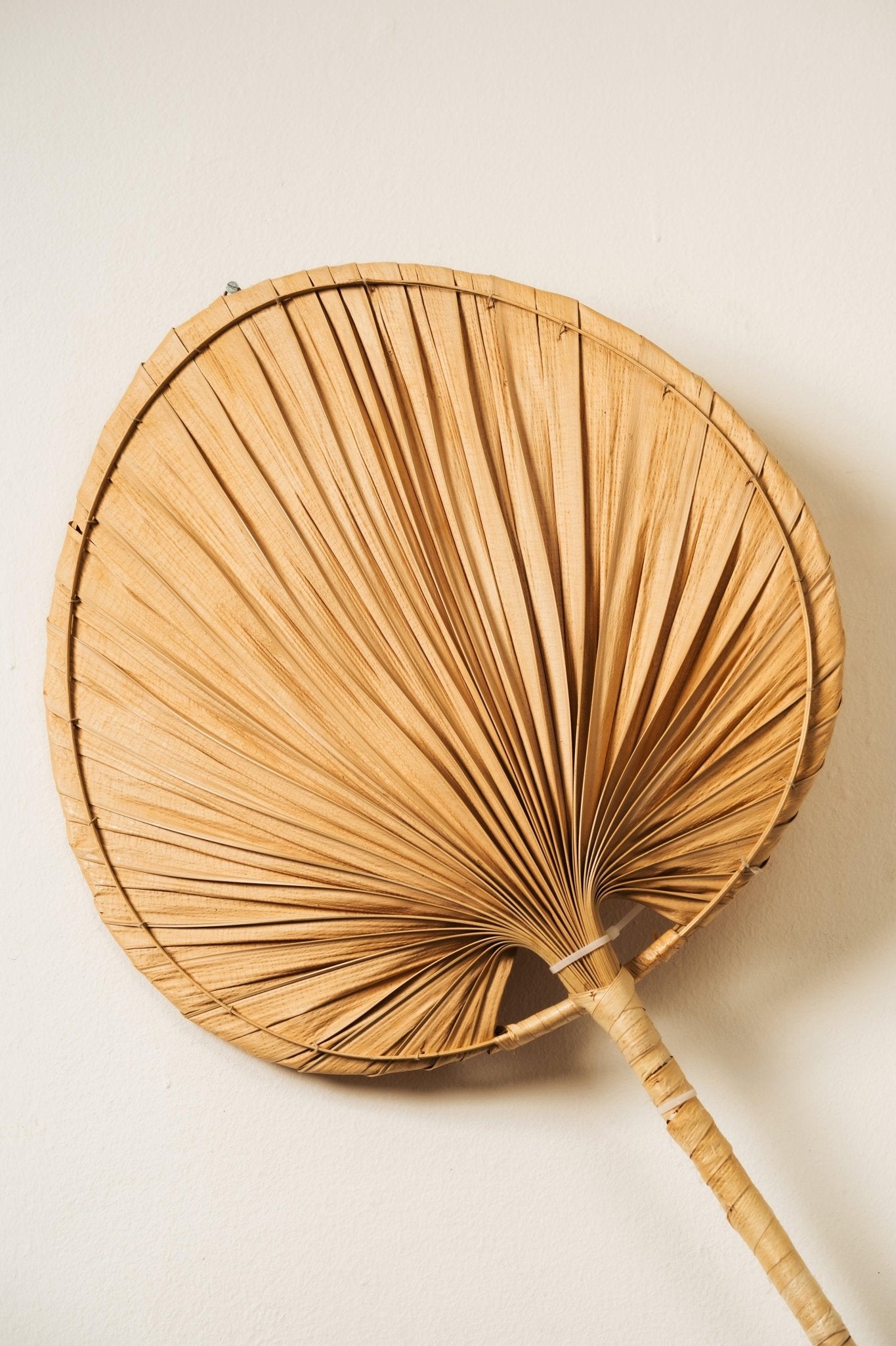 Handcrafted Palm Leaf Wall Light - Natural Tropical Lampshade - TesuWall Light
