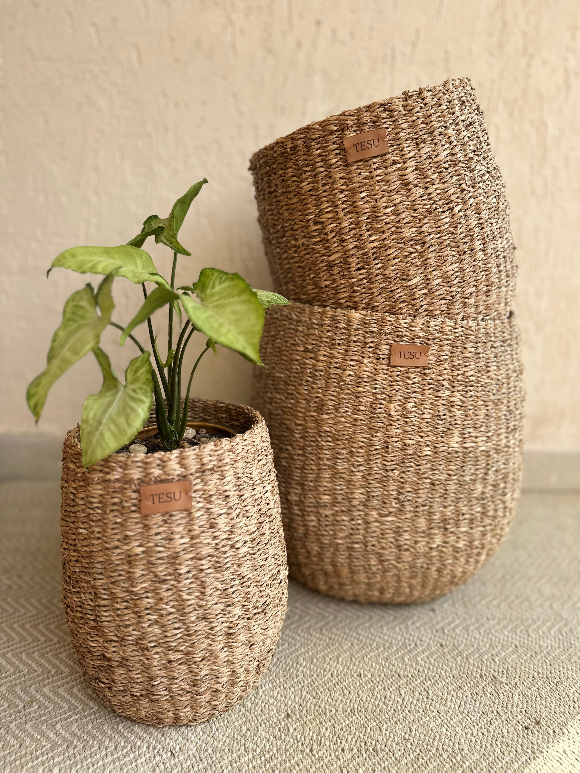 Enhance your Dream Home with our curated selection of premium Home Décor items. Seagrass Plant Holder are Perfect for decorating your home, living room decor, bedroom interior touches, beautiful cover pots and much more. Its placement is very flexible which is suitable for beautifying your room. Hand-woven by our artisans from sustainable Sea grass these storage baskets are great for storing and have high aesthetic appeal. tesu 