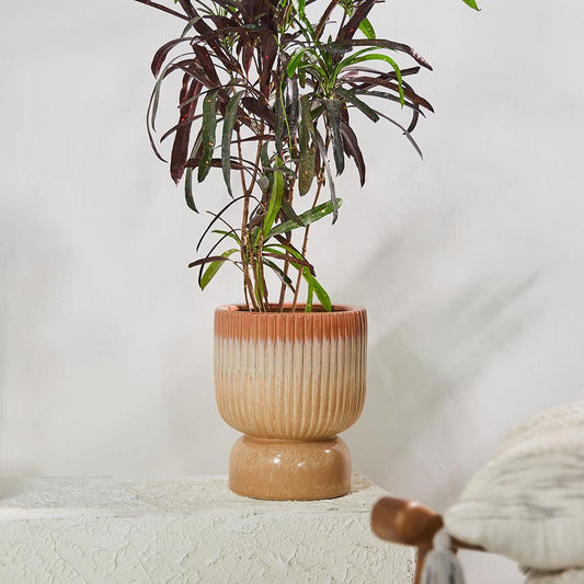 Leaf Tail Ceramic Pot - TesuVases