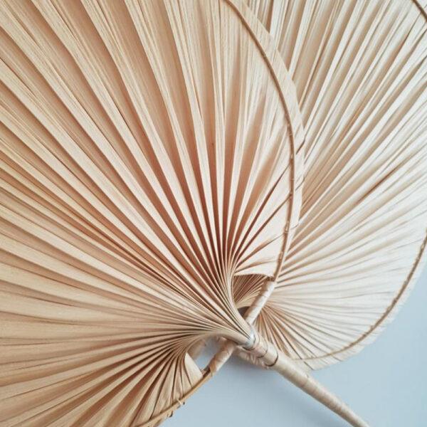 Palm Leaf Wall Fan - Set of 2 - TesuWall Decor
