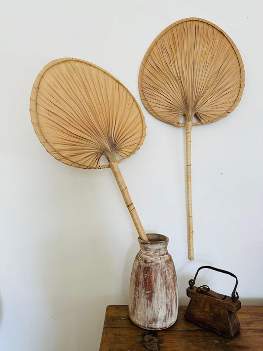 Palm Leaf Wall Fan - Set of 2 - TesuWall Decor