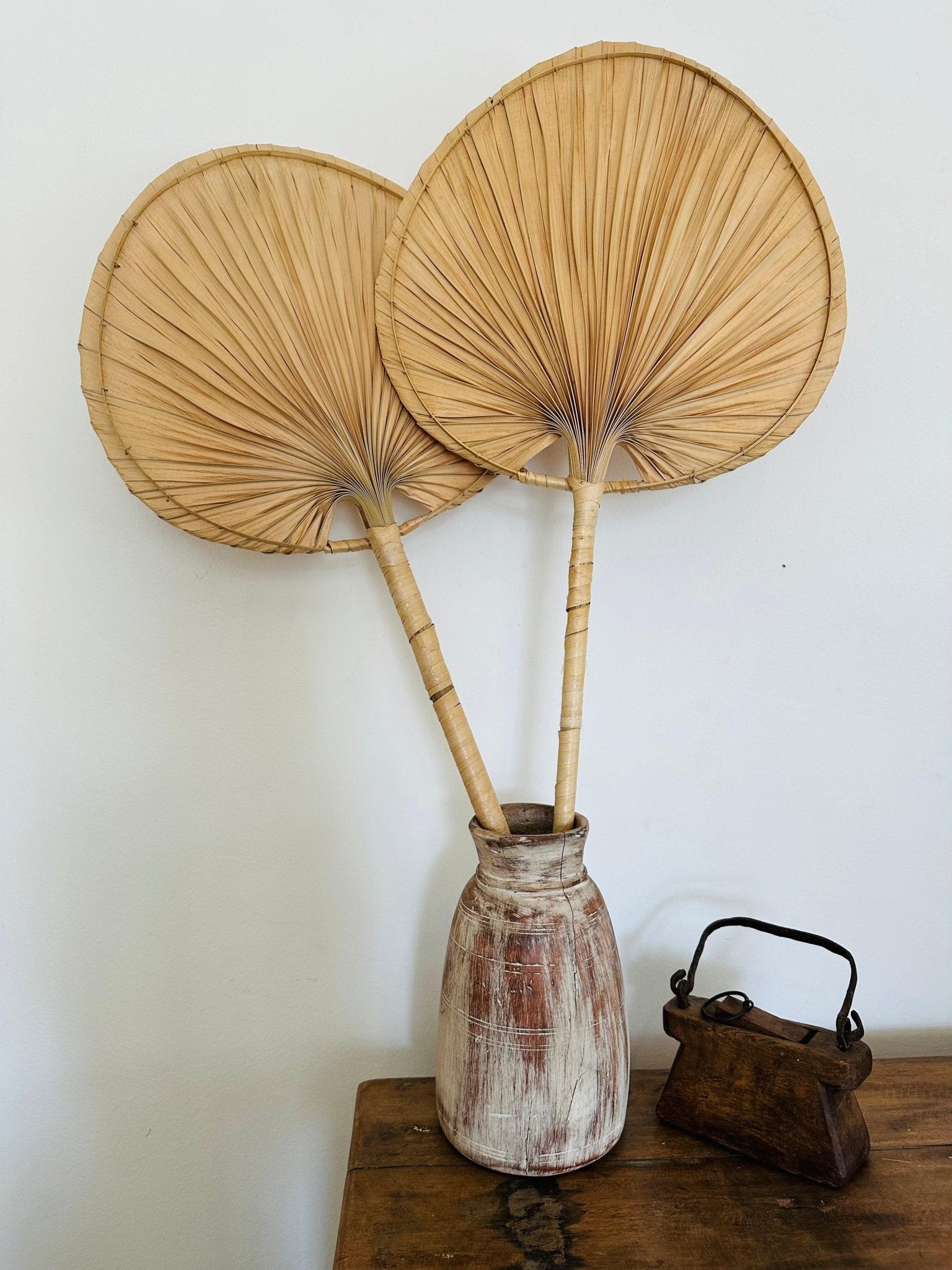 Palm Leaf Wall Fan - Set of 2 - TesuWall Decor